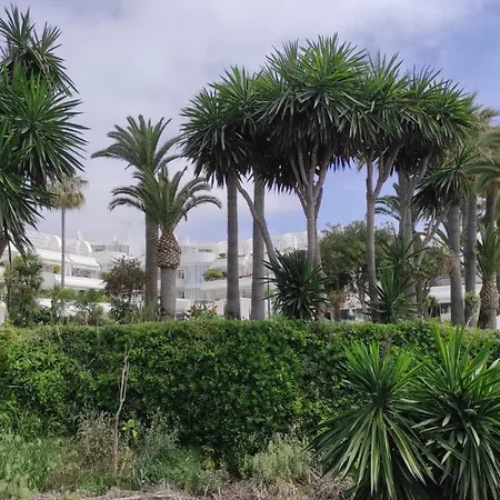 Casa Cachita-en 1ª Linea De Playa