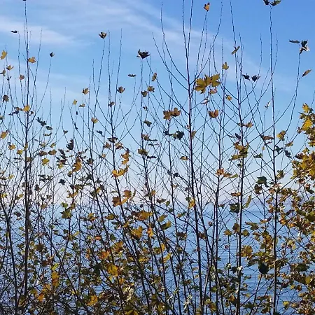 Casa Cachita-en 1ª Linea De Playa Апартаменты Эстепона