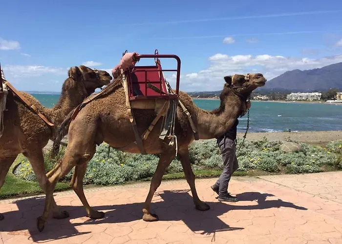 Apartamento Casa Cachita-en 1ª Línea De Playa *