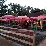 Διαμέρισμα Casa Cachita-en 1ª Linea De Playa