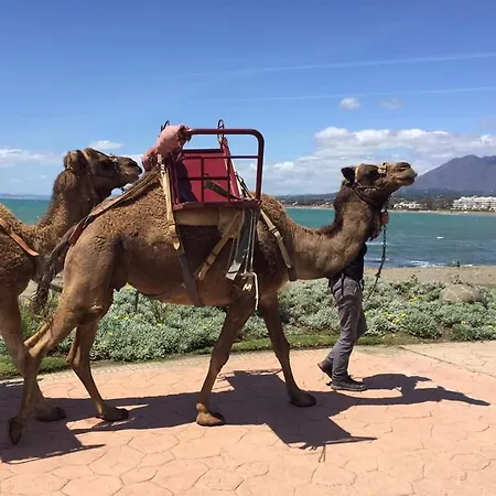 Apartment Casa Cachita-en 1ª Linea De Playa *