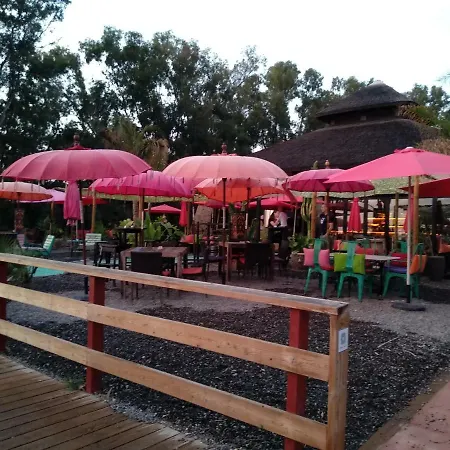 Apartment Casa Cachita-en 1ª Linea De Playa