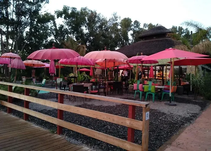 Lägenhet Casa Cachita-en 1ª Linea De Playa