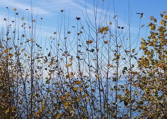 Casa Cachita-en 1ª Linea De Playa Lägenhet Estepona