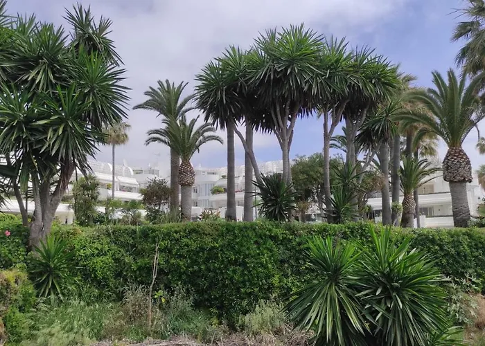 Casa Cachita-en 1ª Linea De Playa